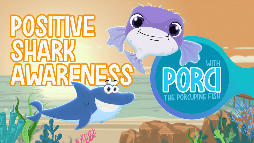 Marine Discovery Centre - #01 Shark Awareness